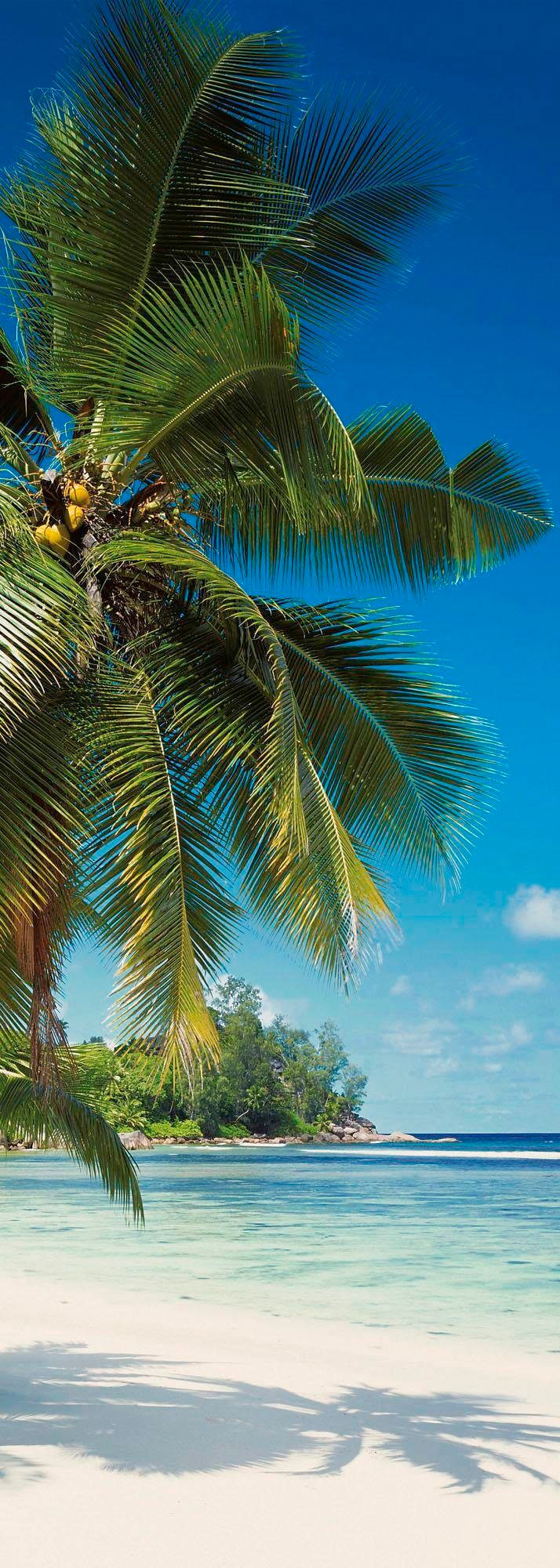 Komar Vliestapete "Digitaldruck Vlies - Coconut Bay - Größe 100 x 280 cm" bedruckt glatt Wohnzimmer, Schlafzimmer