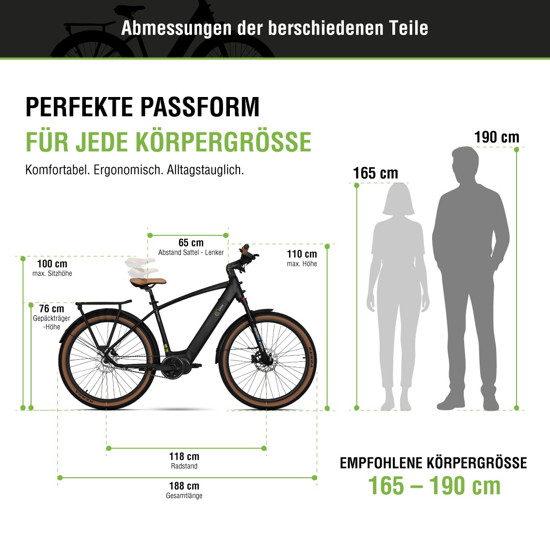 SachsenRad »S8R Centro Riemenantrieb mit Alarmanlage« 1 Gang ohne Schaltung Mittelmotor 250 W