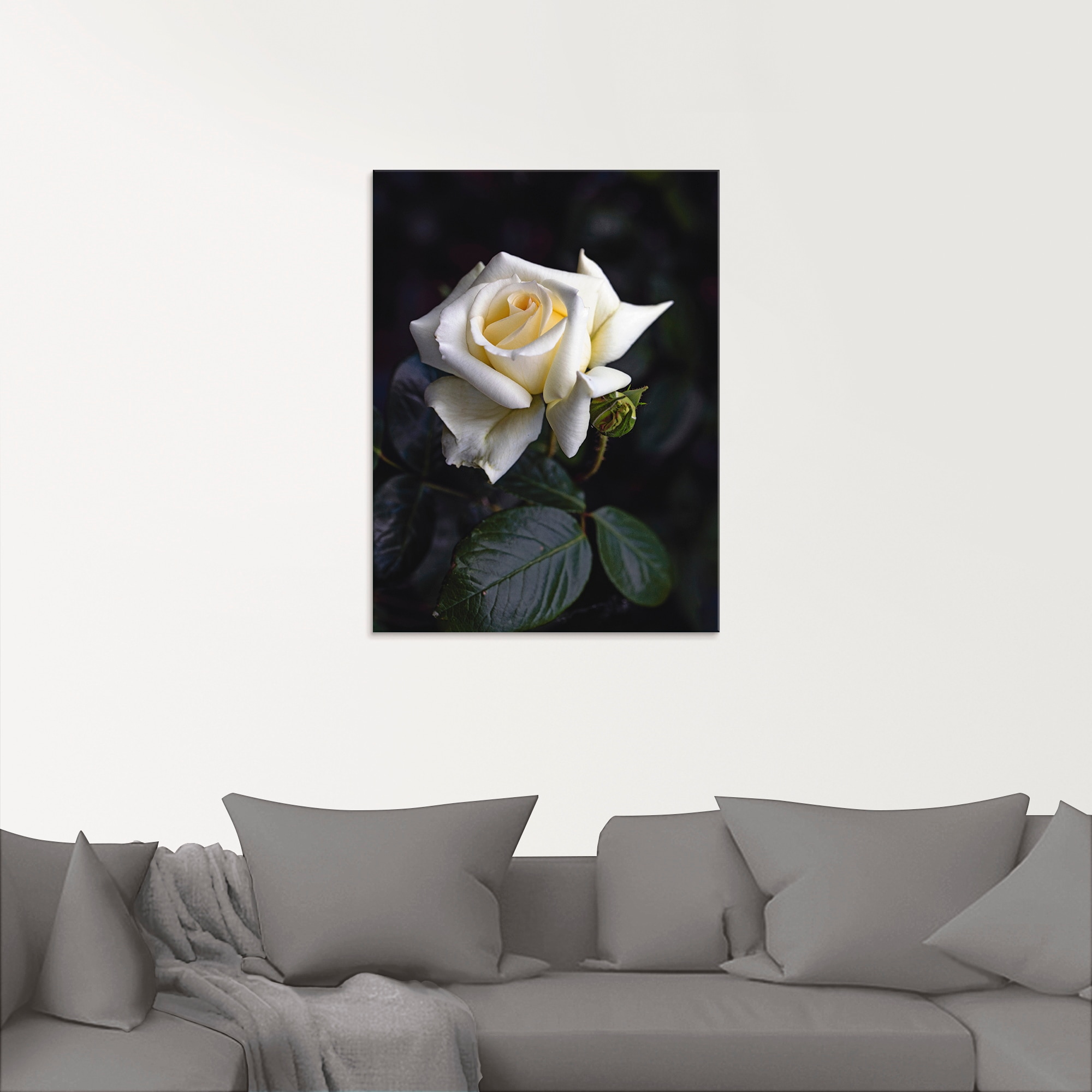 Artland Glasbild »Weiß-gelbe Rose«, Blumen, (1 St.), in verschiedenen Größen