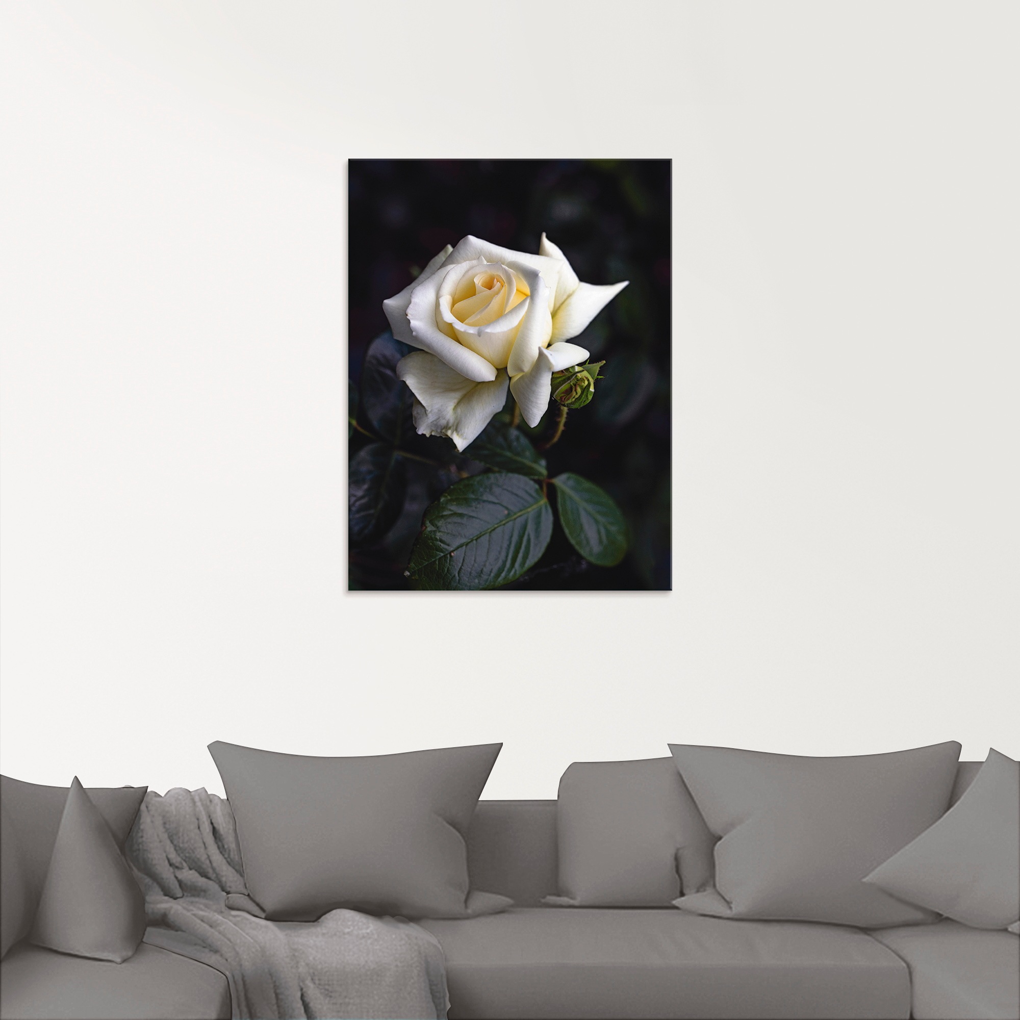 Artland Glasbild "Weiß-gelbe Rose" 1 Stk. tlg. in verschiedenen Größen günstig online kaufen