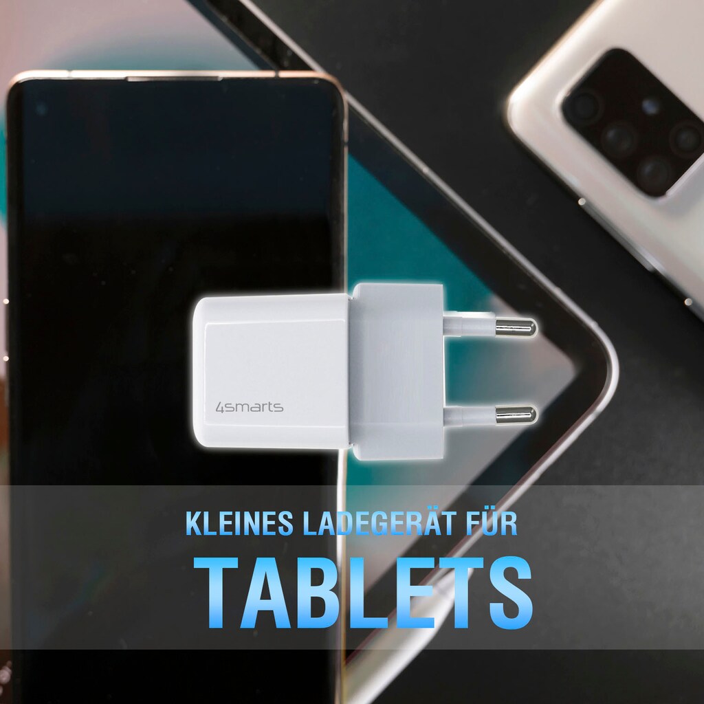 4smarts USB-Ladegerät »Netzladegerät VoltPlug PD 30W - MINI USB-C 1,5m«