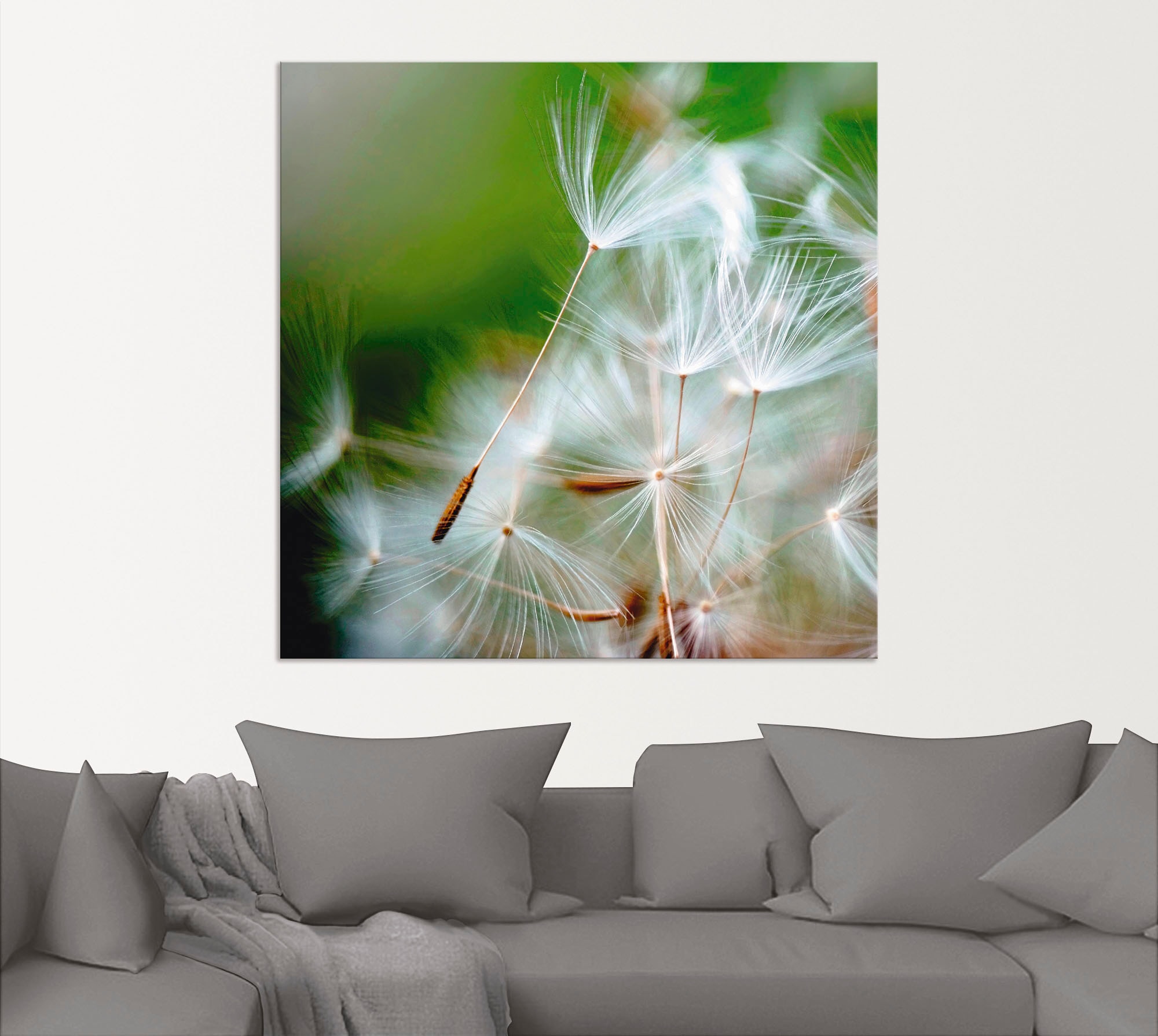 Artland Alu-Dibond-Druck »Pusteblume kuschelweich«, Blumen, (1 St.), für Innen- und Außenbereich geeignet, Outdoorbild