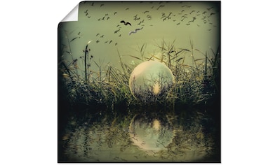 Artland Wandbild »In der Glaskugel - Mystische Au«, Landschaften, (1 St.), als... kaufen