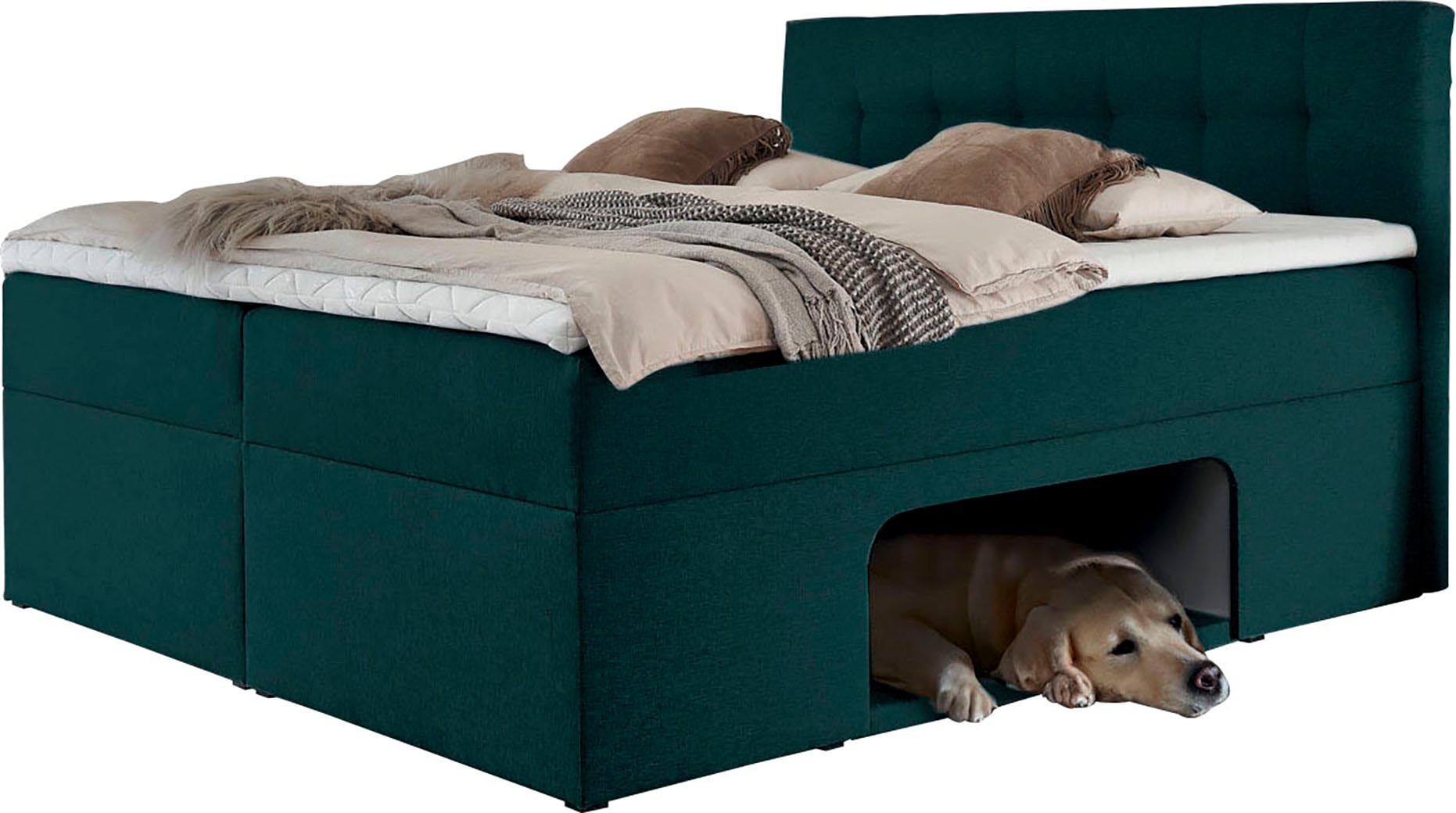 Places of Style Boxbett »Carolin«, mit Nische inkl. gepolsterter Unterlage für Haustiere