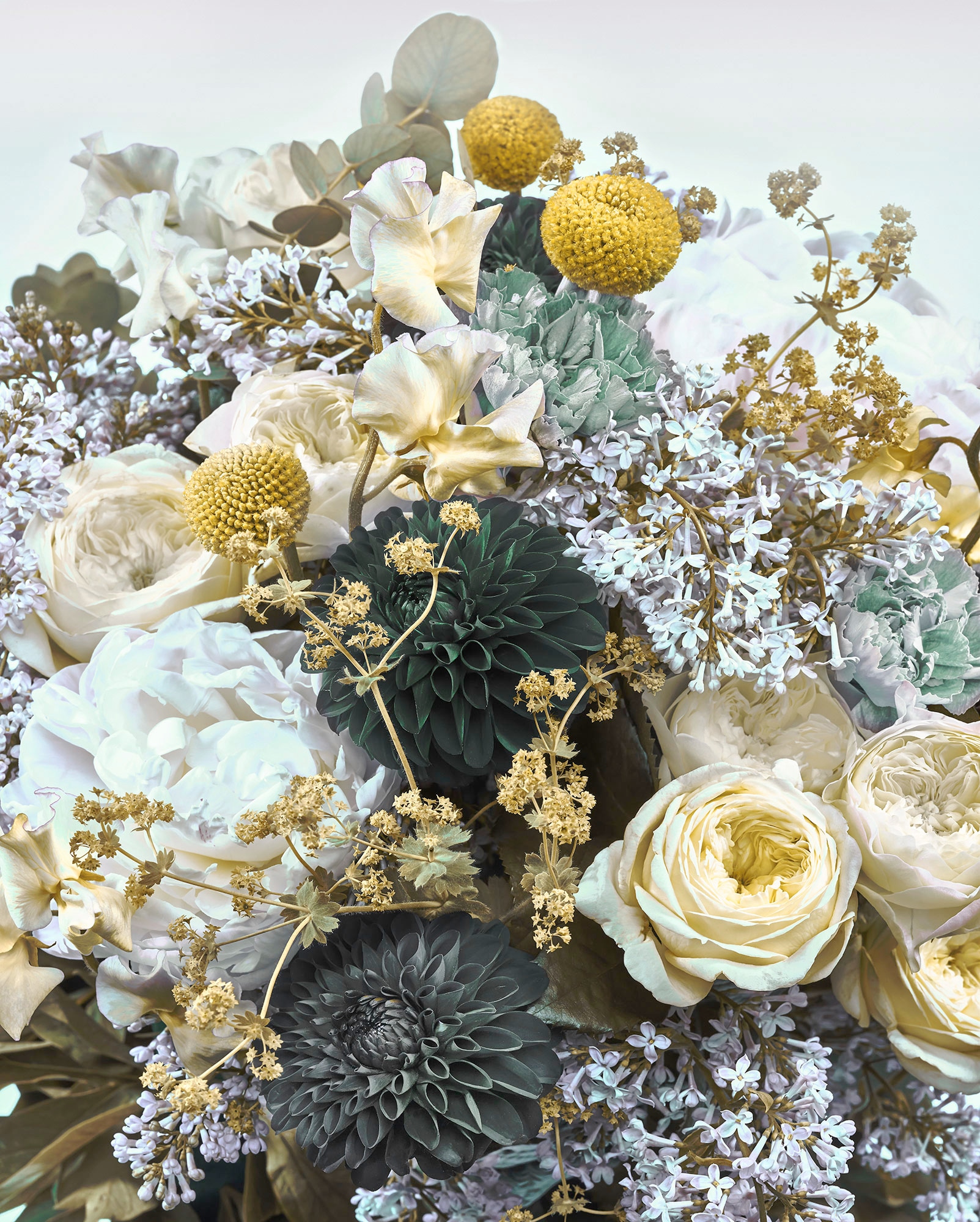 Komar Vliestapete »Gentle Bloom« 200x250 cm ...