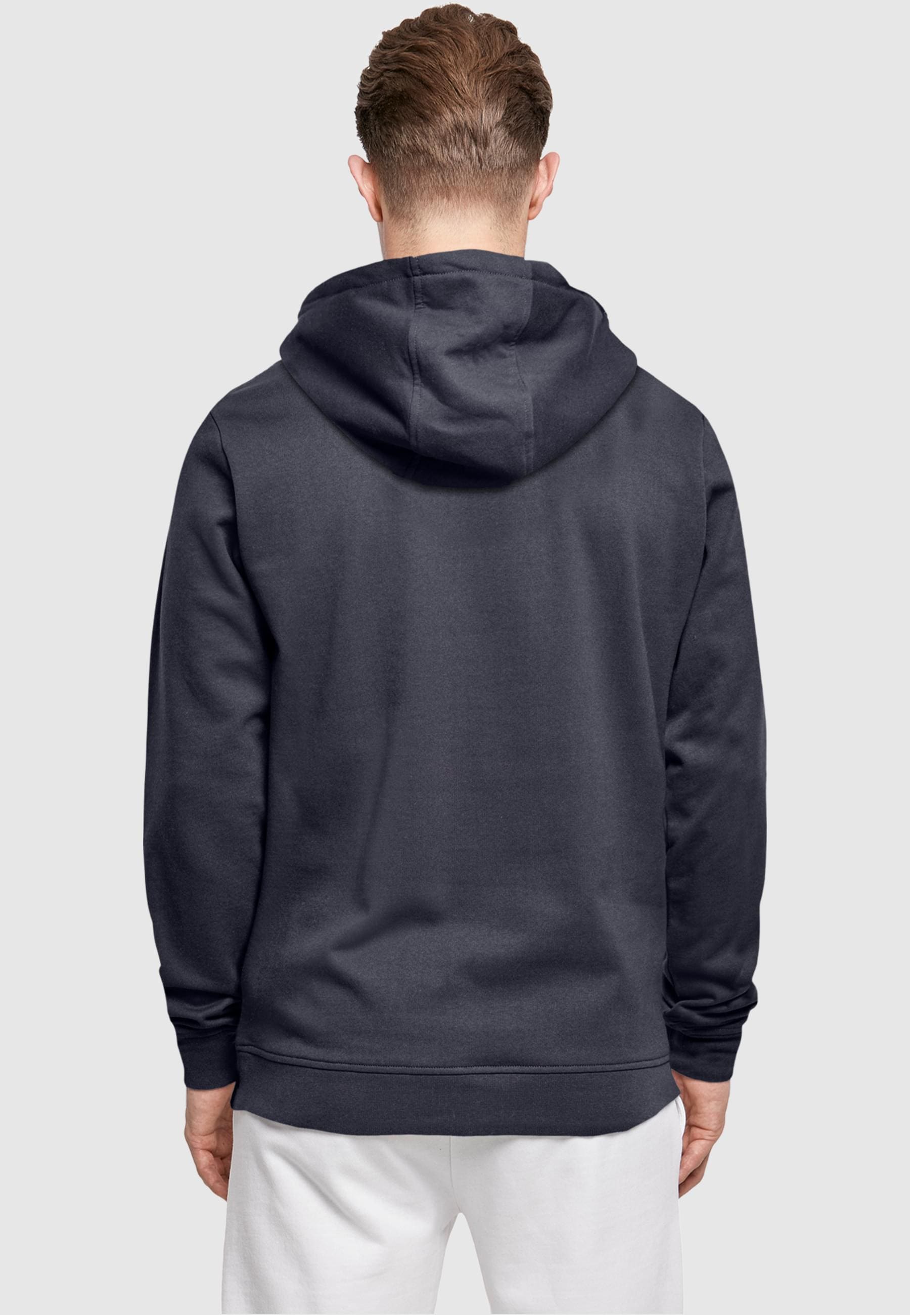ABSOLUTE CULT Kapuzensweatshirt »ABSOLUTE CULT Herren«, (1 tlg.)