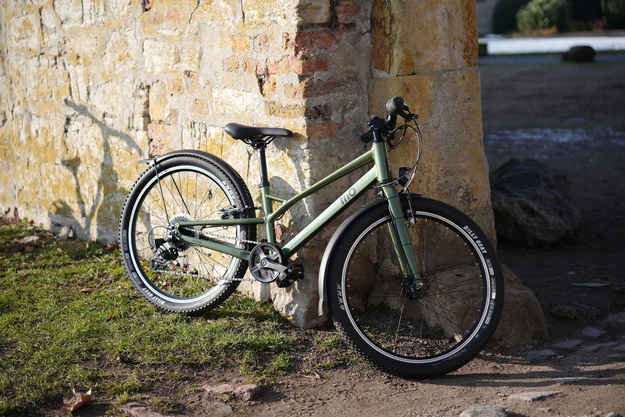 Prophete Kinderfahrrad »Prophete Trio 500« 8 Gang Shimano Tourney Schaltwerk Kettenschaltung