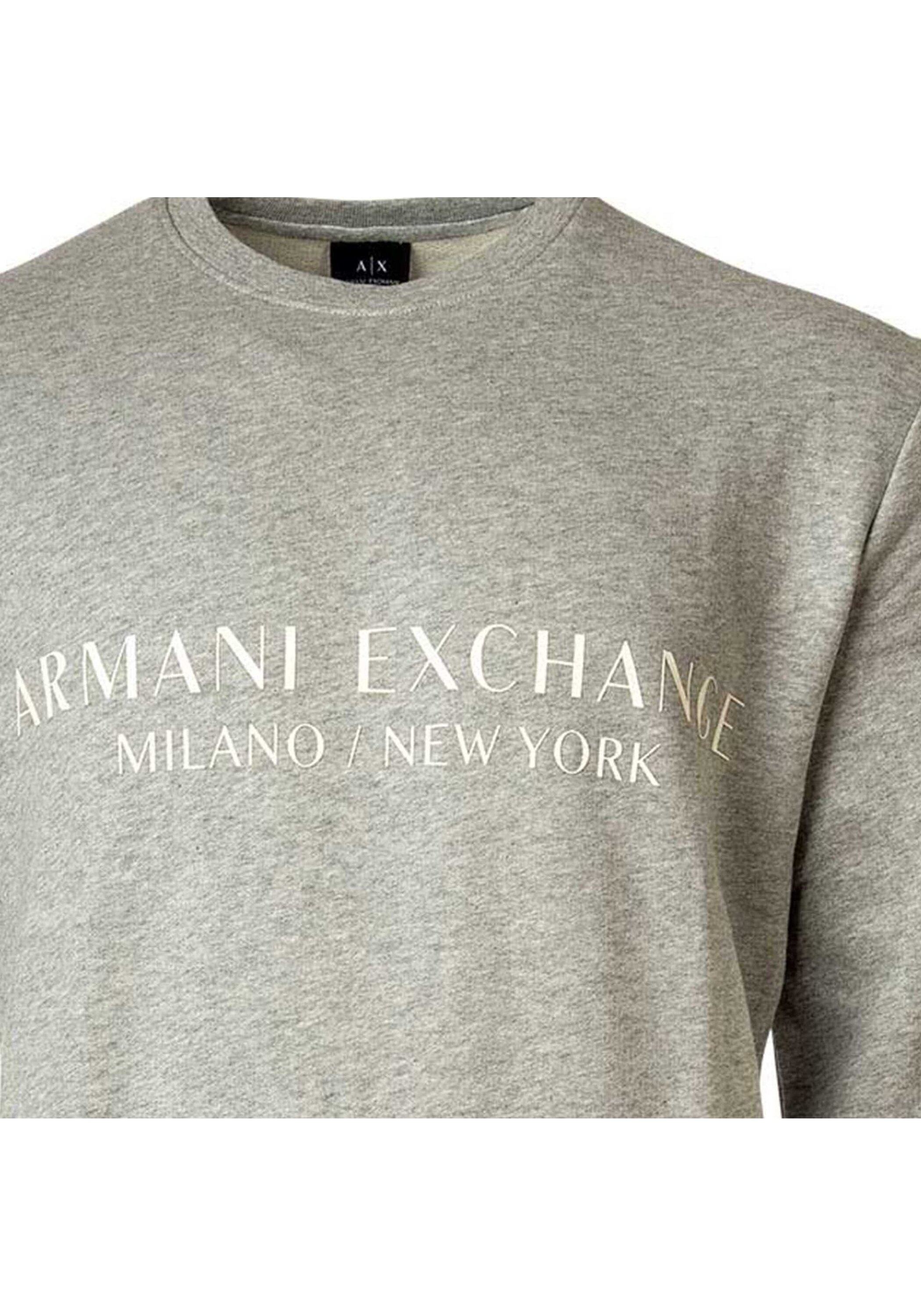 ARMANI EXCHANGE Sweatshirt »Sweatshirt«