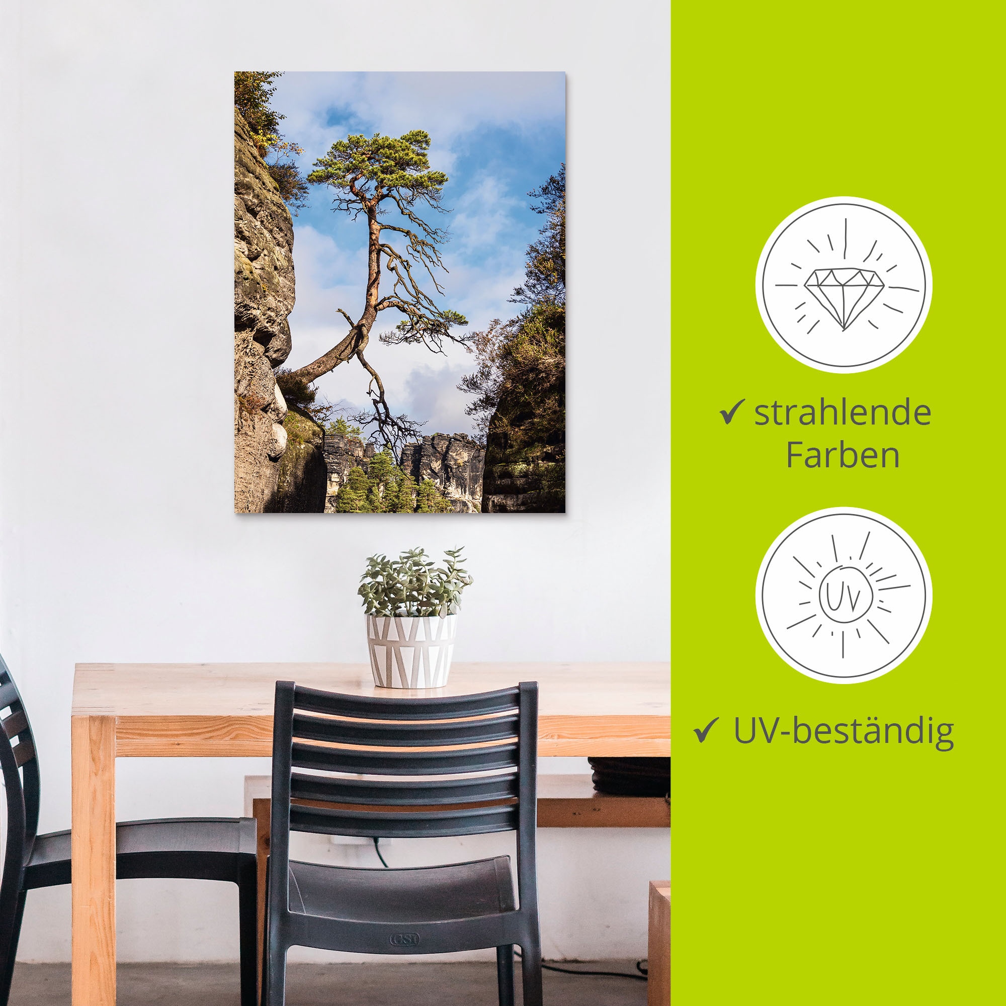 Artland Wandbild »Felsen Bäume in der Sächsische Schweiz«, Berge & Alpenbilder, (1 St.), als Alubild, Leinwandbild, Wandaufkleber oder Poster in versch. Größen