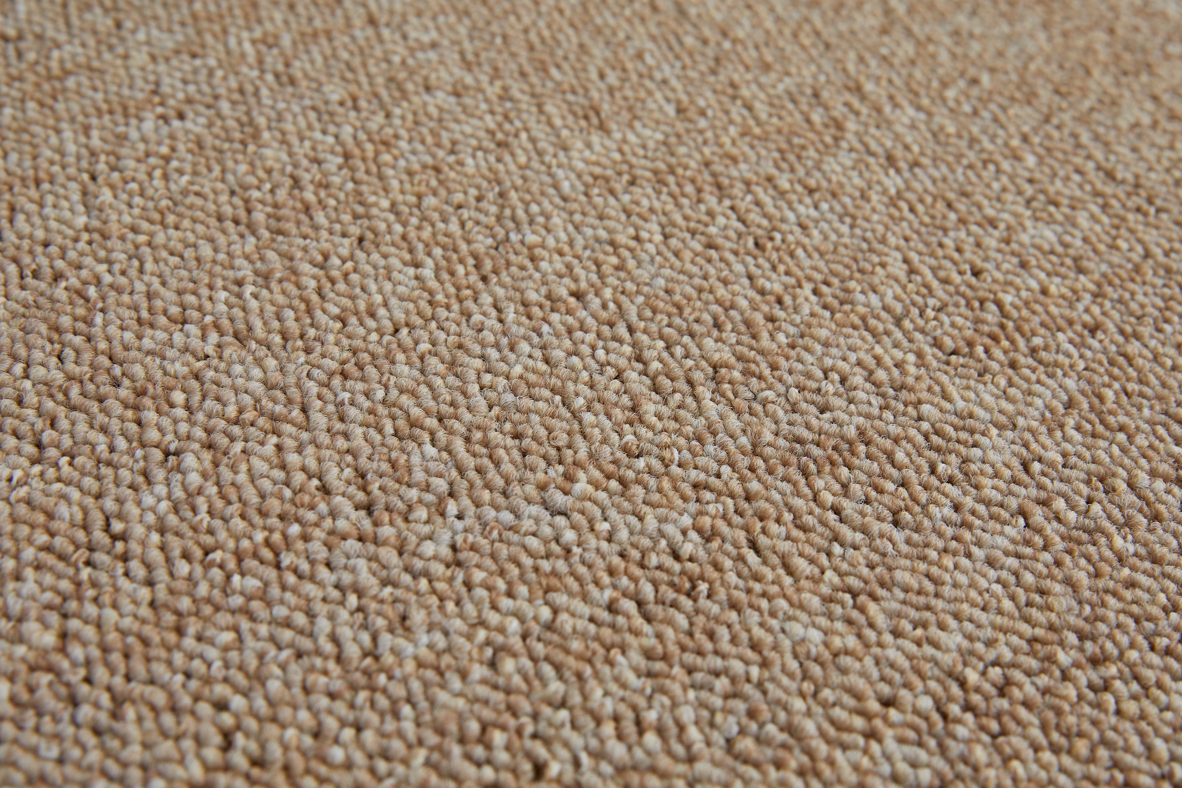 my home Teppichboden »melierte Schlinge Carolina, Made in Netherlands«, rechteckig, 0,65 mm Höhe, Breite 400 & 500 cm, robust, pflegeleicht, normale Beanspruchung