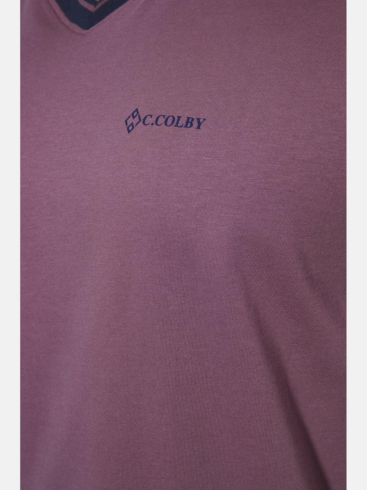 Charles Colby T-Shirt »Doppelpack T-Shirt EARL EDELEY«, (2 tlg.)