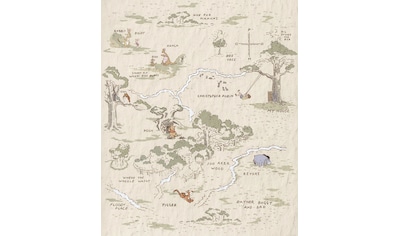 Vliestapete »Winnie the Pooh Map«