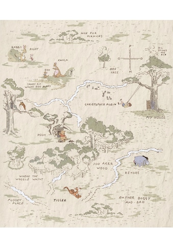 Komar Vliestapete »Winnie the Pooh Map« 200x...