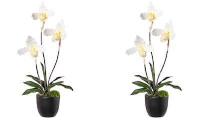 Kunstorchidee »Orchidee Frauenschuh«