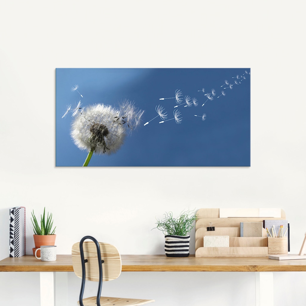 Artland Glasbild »Pusteblume«, Blumen, (1 St.)