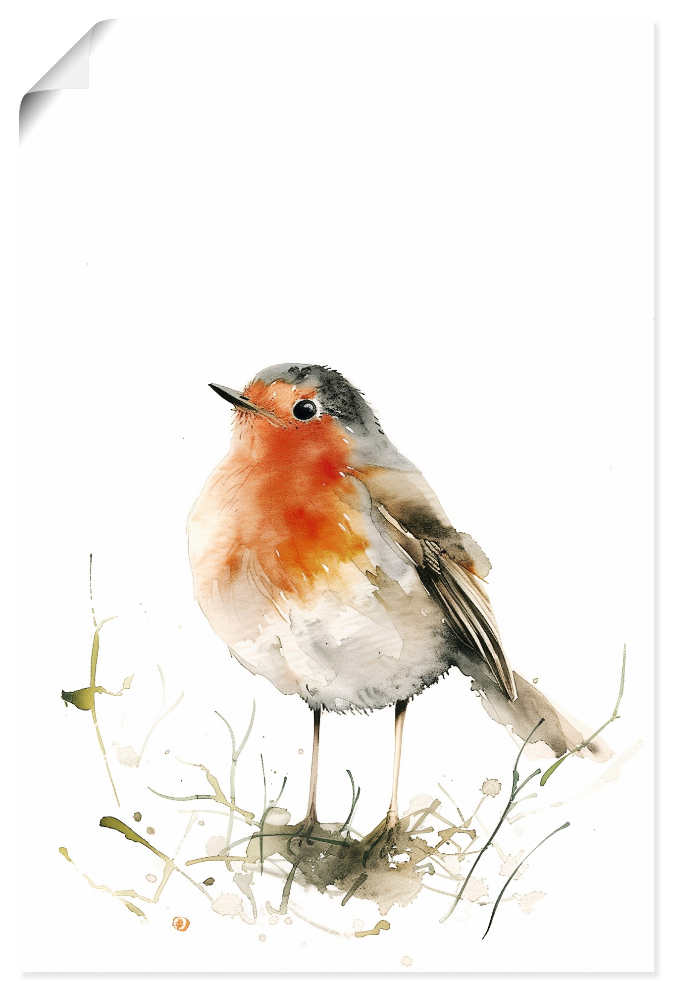 Wandbild ARTLAND "Aquarell Rotkehlchen", farbe bild(er): rot, B:40cm H:60cm, Papier, Bilder, als Alubild, Leinwandbild, Poster, Wandaufkleber in verschied. Größen