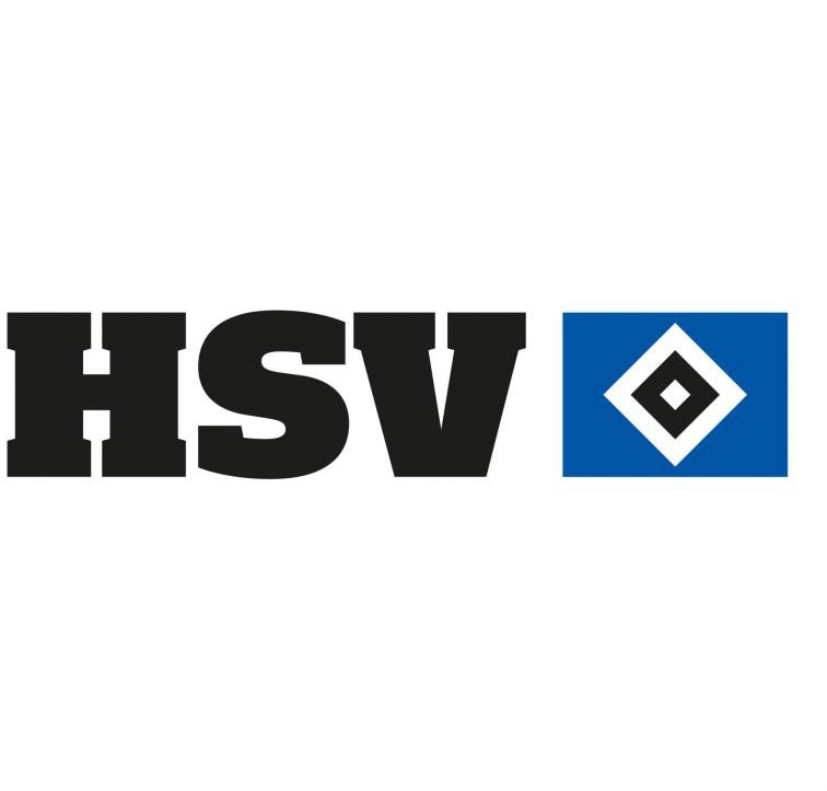 Wall-Art Wandtattoo »Hamburger SV Logo + Schrif...
