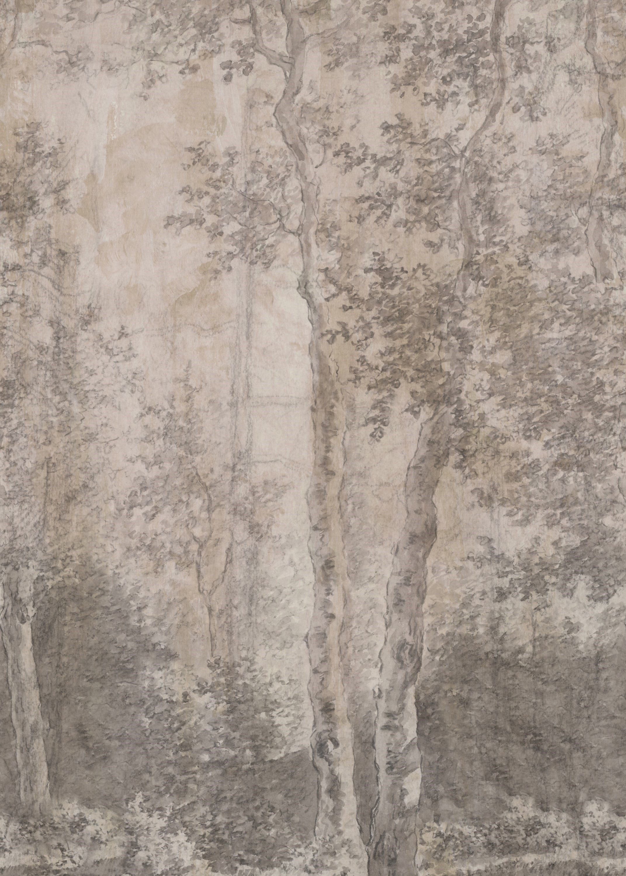 LOOKS by Wolfgang Joop Fototapete »Birch Trees«, naturalistisch, 200x270cm