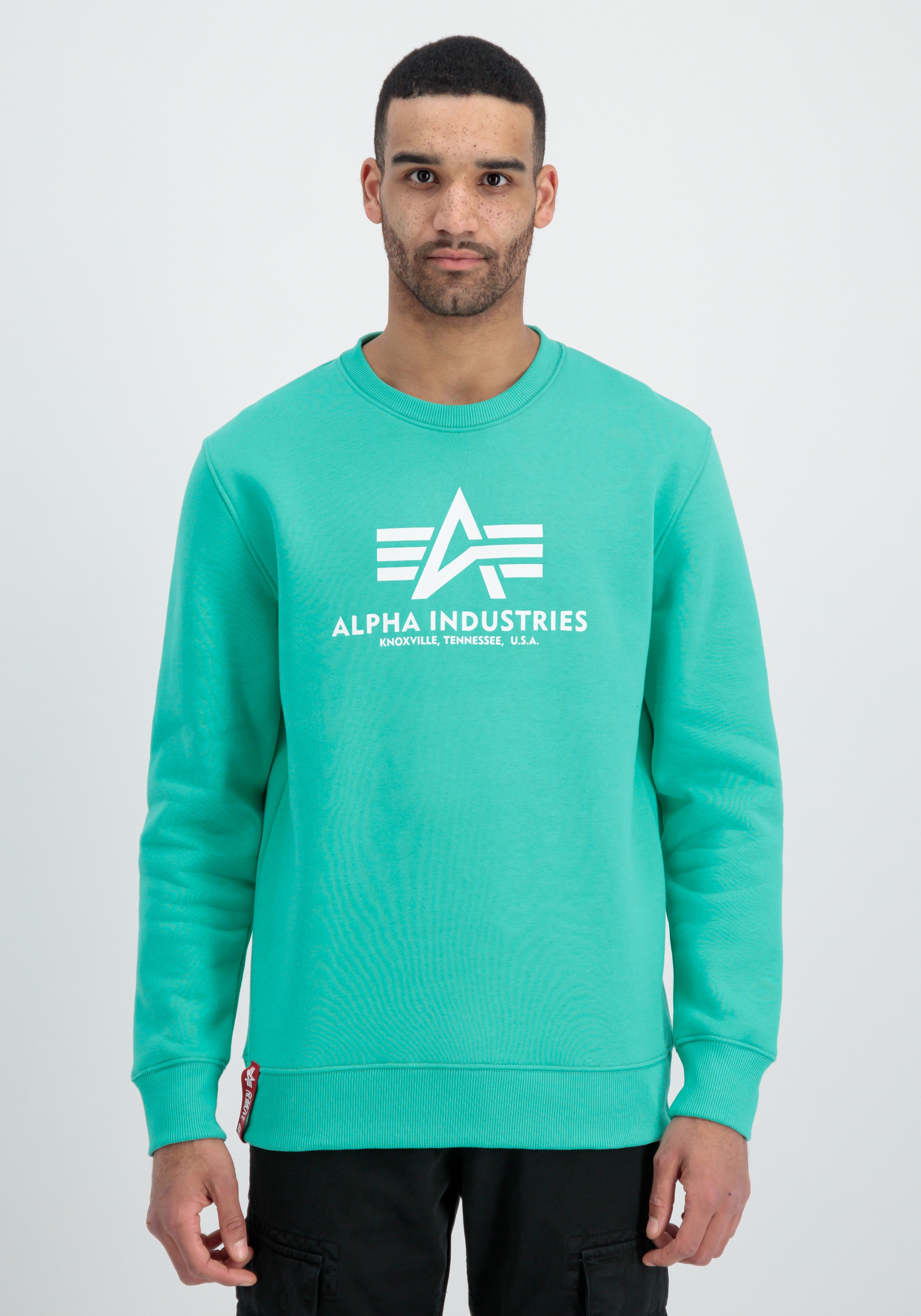 Alpha Industries Sweater »Alpha Industries Men - Sweatshirts Basic Sweater«