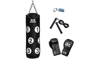 Boxsack »Sparring Professional«, (Set, mit Trainings-DVD-mit Boxhandschuhen-mit...