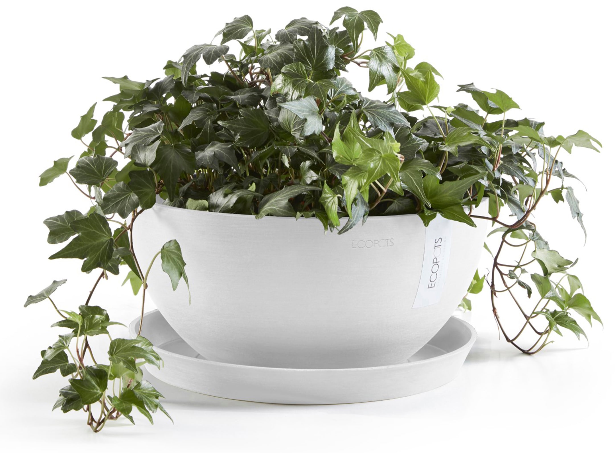 ECOPOTS Blumentopf »Brussels 35 Weiß«, für innen und außen: frostsicher, bruchsicher und lichtbeständig