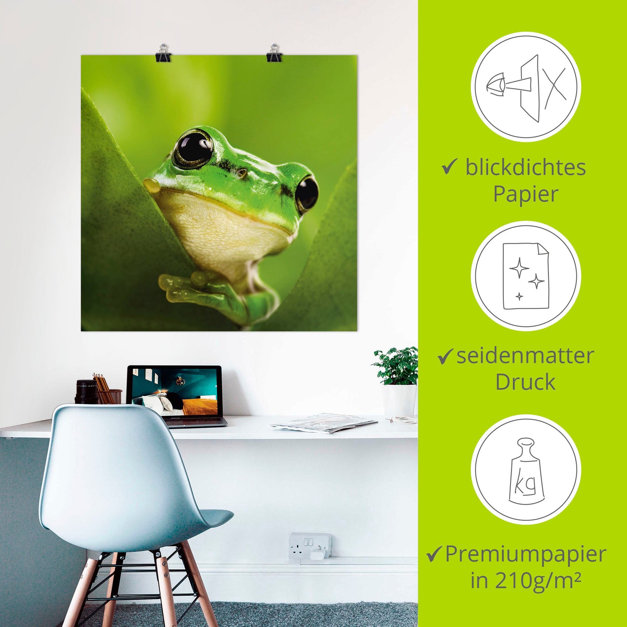 Artland Wandbild »Ausspähender Frosch«, Wassertiere, (1 St.), als Leinwandbild, Poster in verschied. Größen