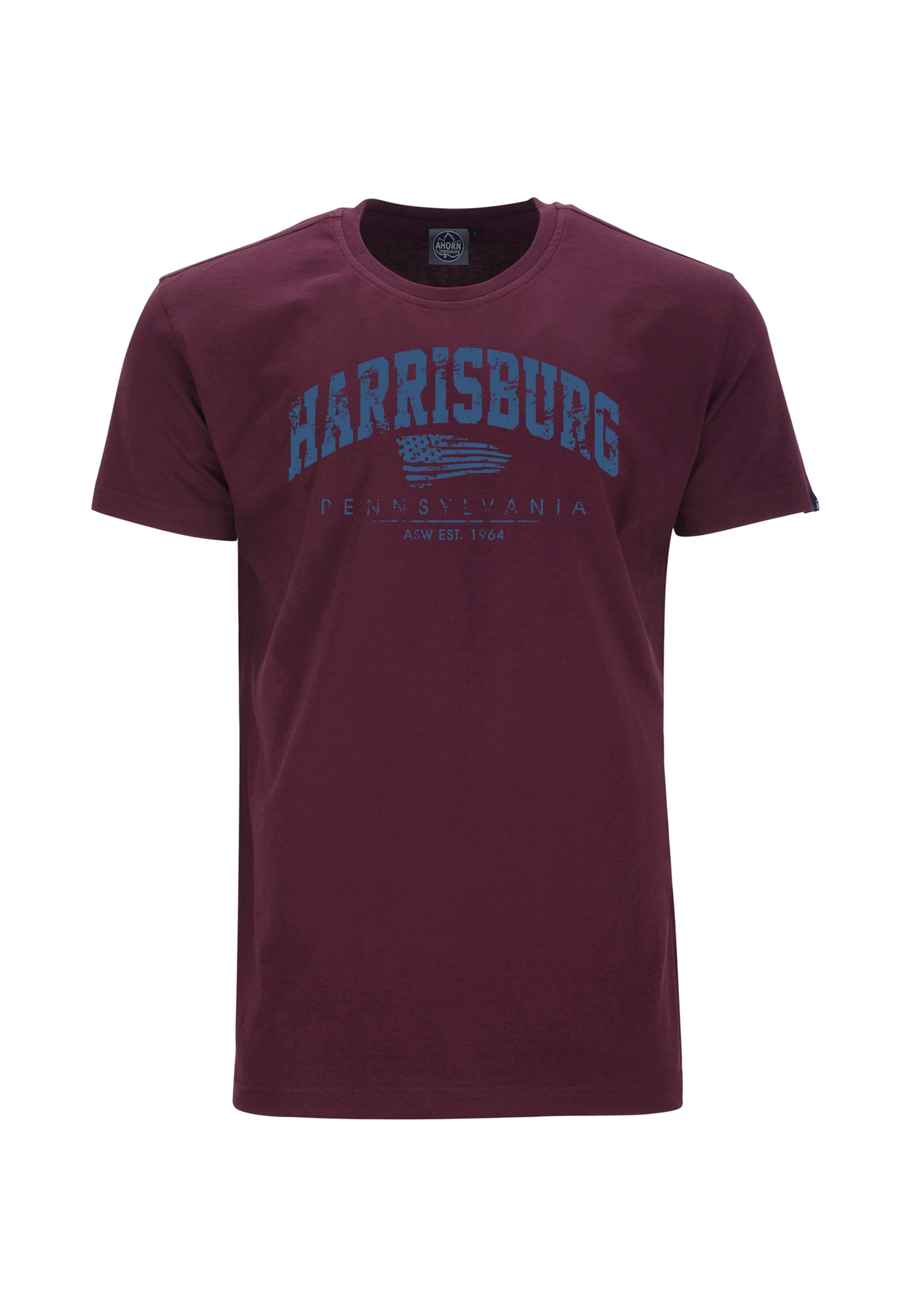 AHORN SPORTSWEAR T-Shirt »HARRISBURG_ATLANTIC modischem ▷ BLUE«, bestellen Frontprint BAUR | mit