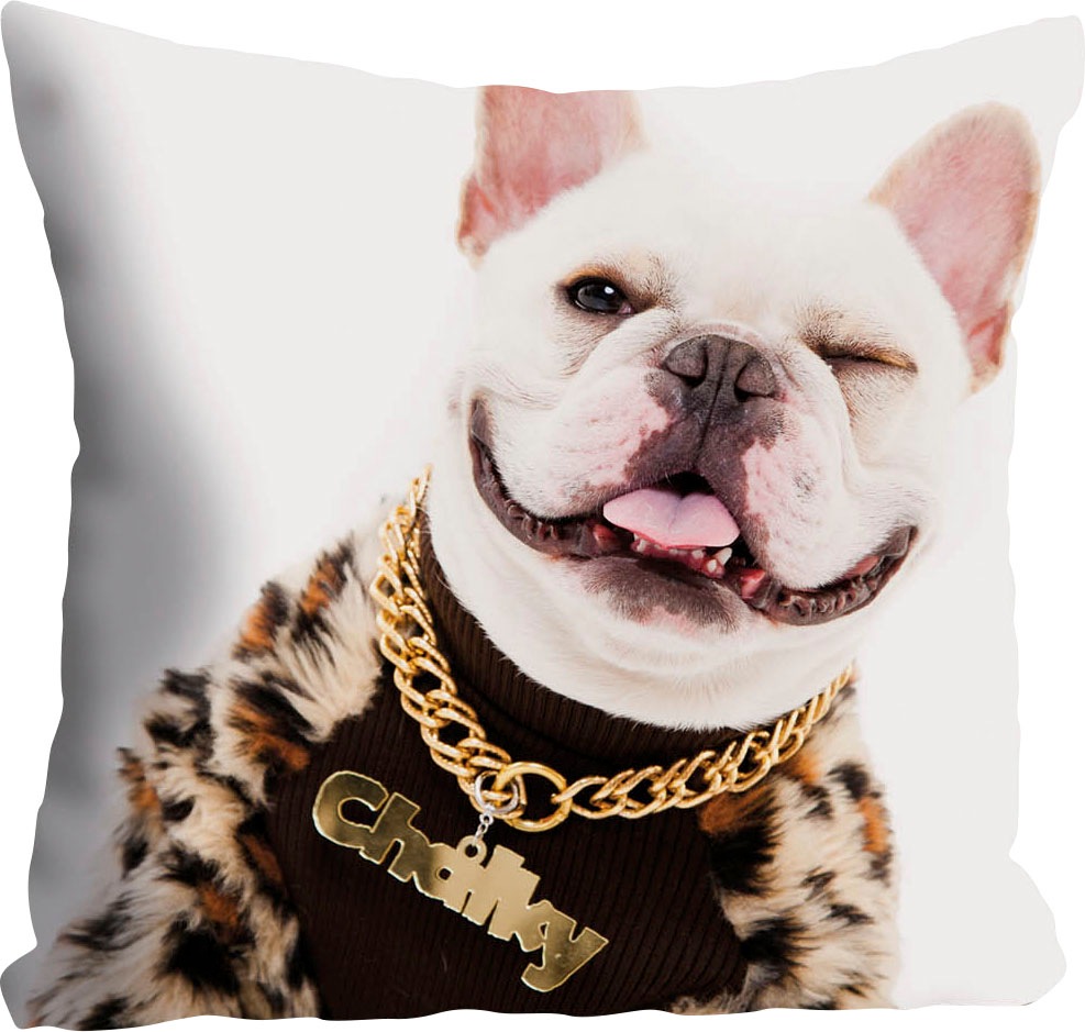 queence Dekokissen "Lars" mit Hund im Rapperoutfit, Kissenhülle ohne Füllun günstig online kaufen