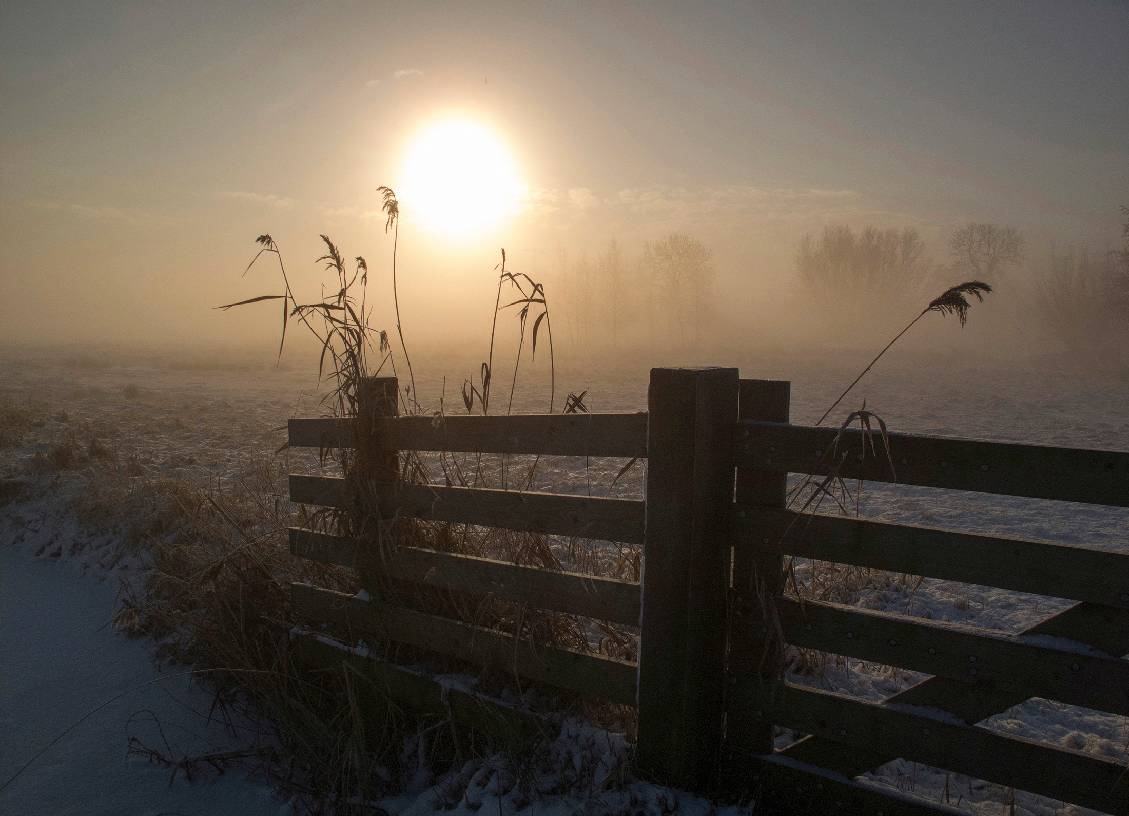 Papermoon Fototapete "Photo-Art ALIDA VAN ZAANE, WINTERSTIMMUNG"