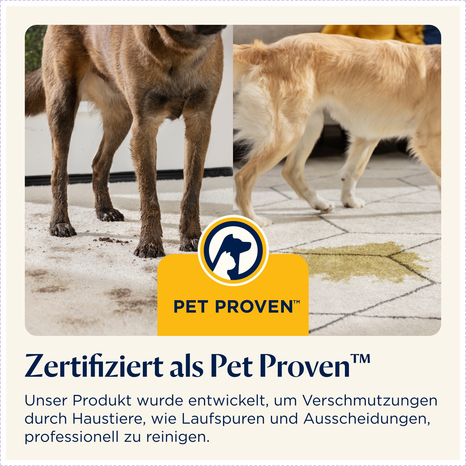 Bissell Wasch-Sauger »3989N SpotClean C9 Select«