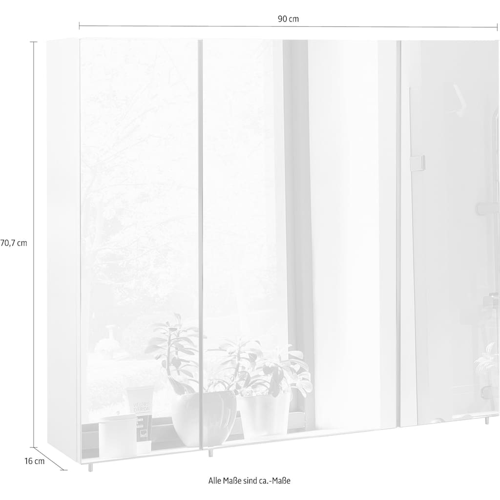 Schildmeyer Spiegelschrank »Basic«