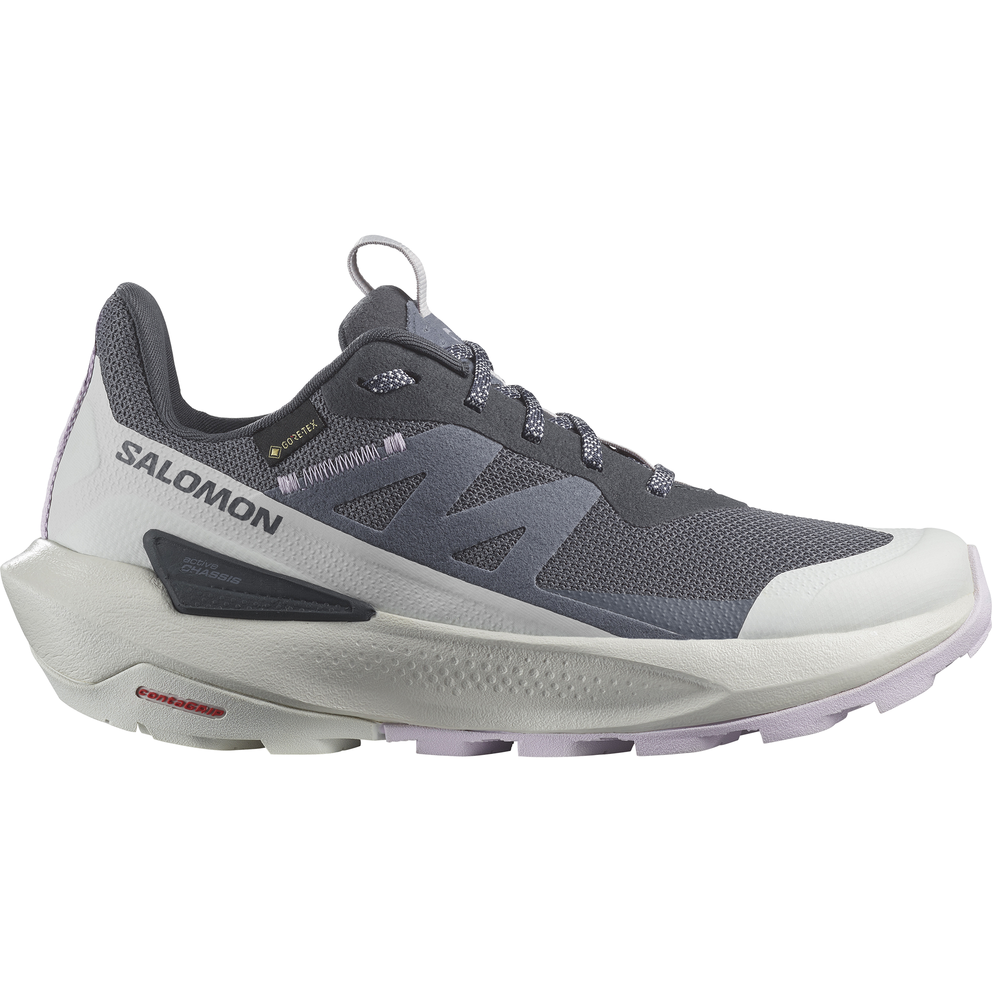 Salomon Outdoorschuh "ELIXIR ACTIV GORE-TEX W", wasserdicht günstig online kaufen