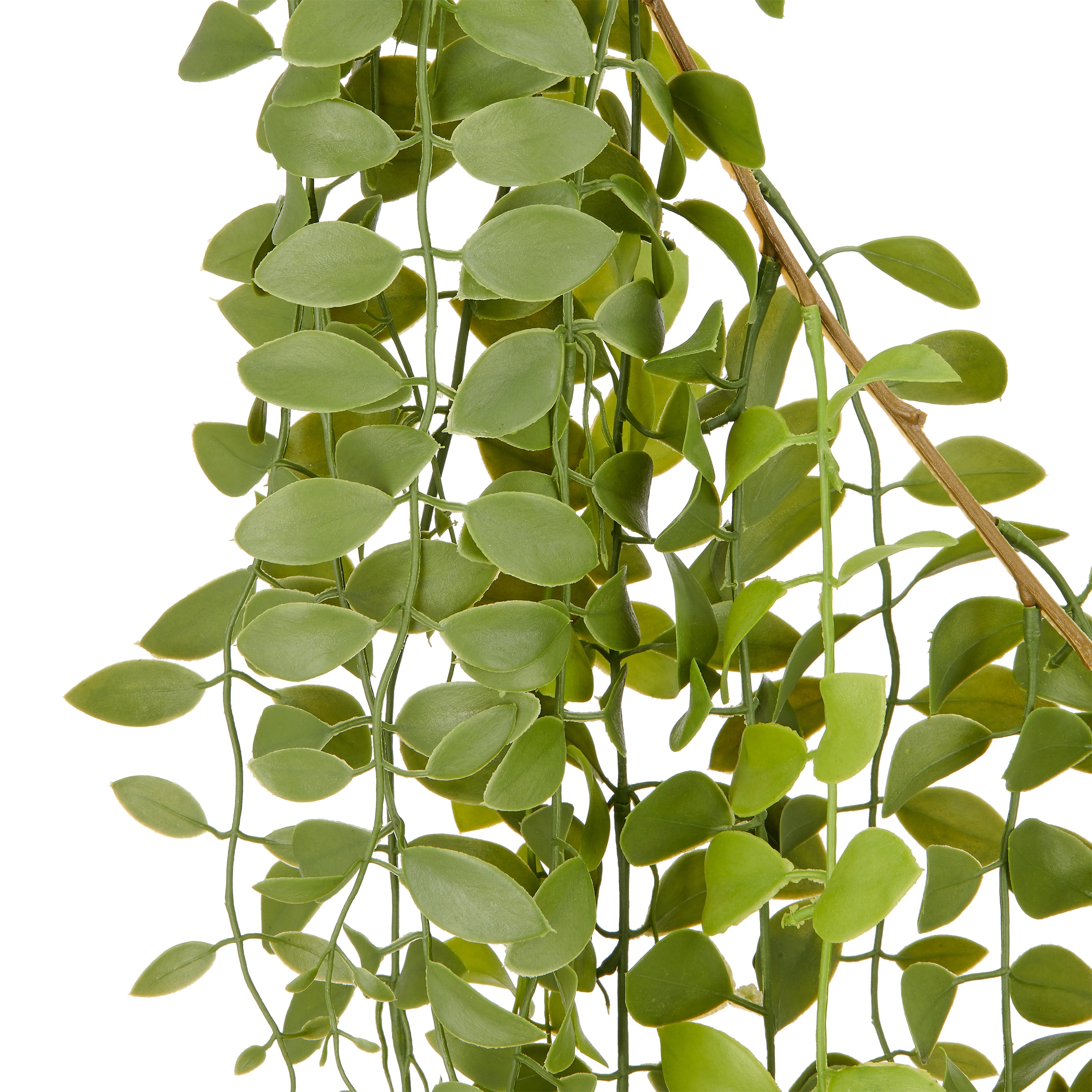 Creativ green Kunstgirlande »Columneagirlande« mit naturgetreu gestaltetem Blattwerk