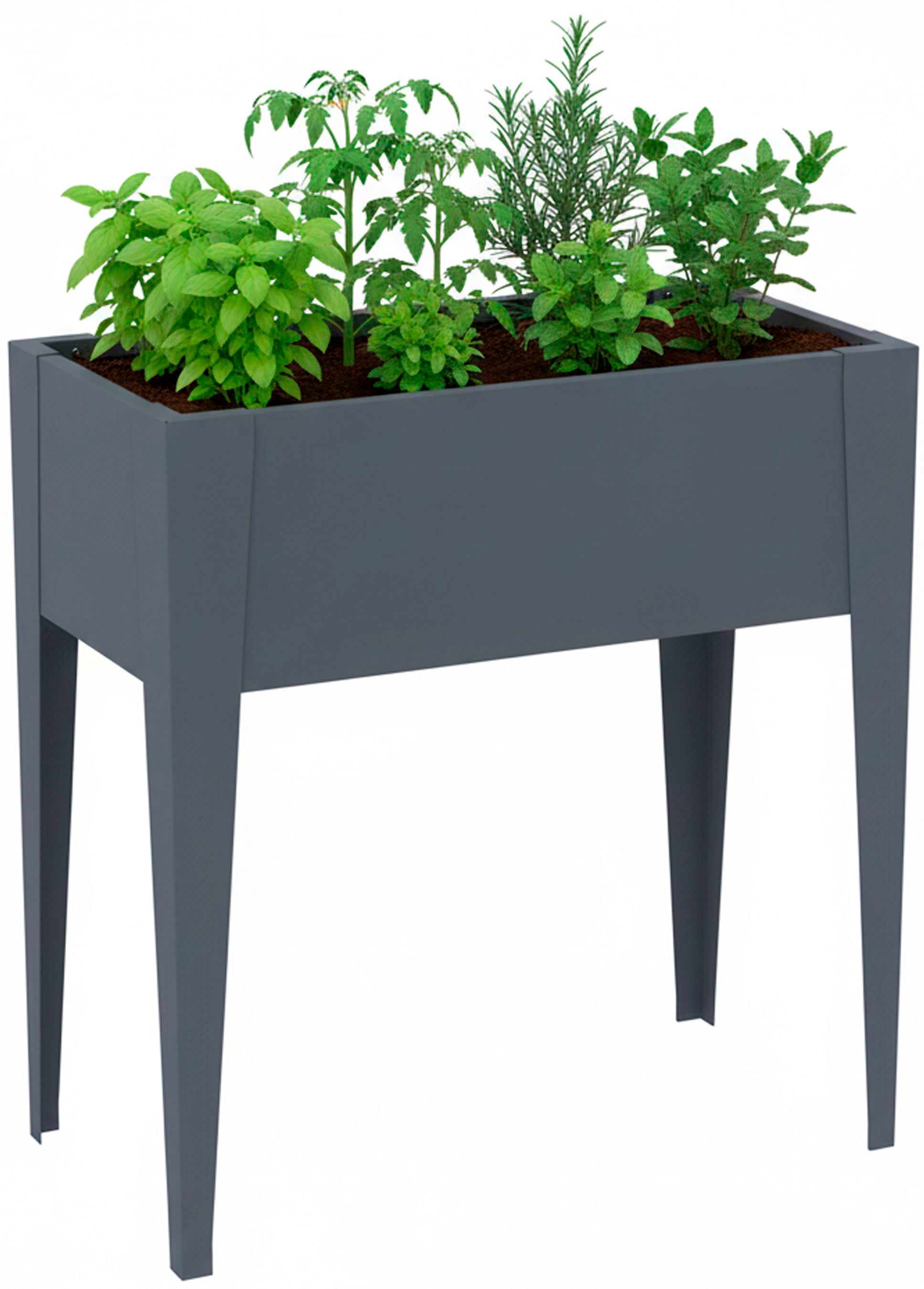 WESTMANN Hochbeet »Vedura S« BxTxH: 74x40x80 cm