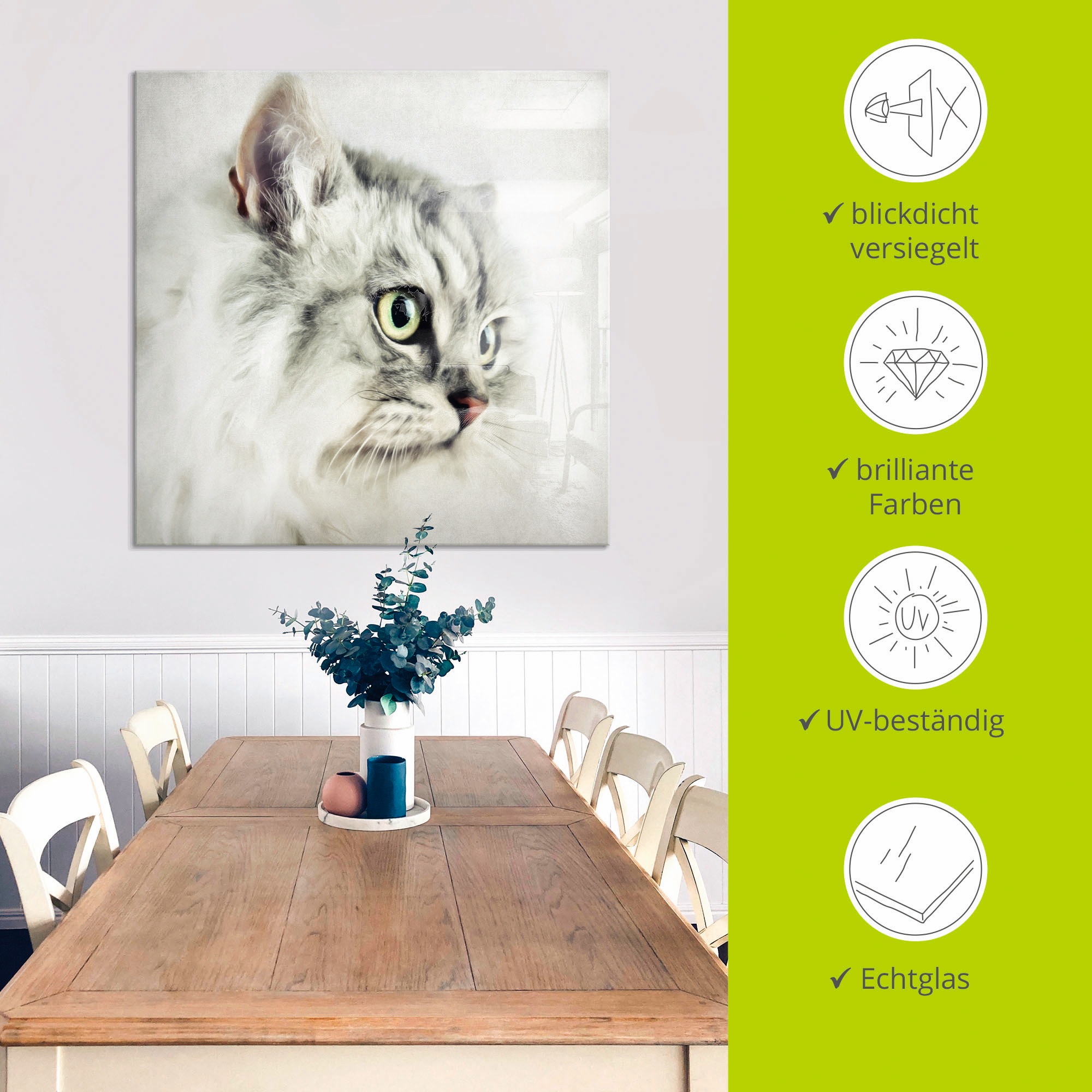 Artland Glasbild »Katzenporträt weiß«, Haustiere, (1 St.), in verschiedenen Größen