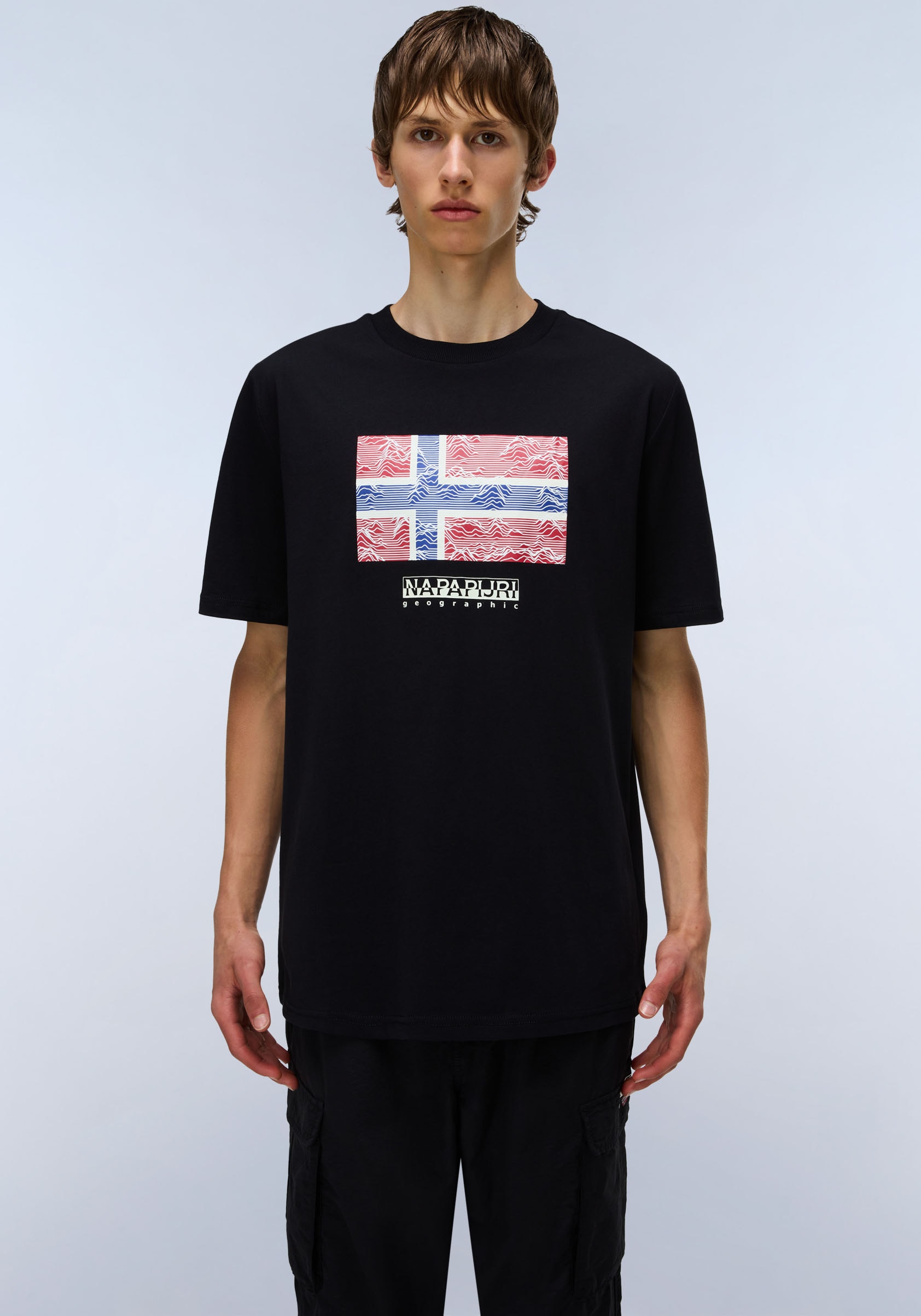 Napapijri T-Shirt "DRAPEAU", mit Print, Rundhals, Jersey günstig online kaufen