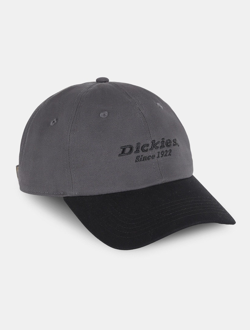 Baseball Cap »Dickies Workwear Mützen TWILL DAD HAT«