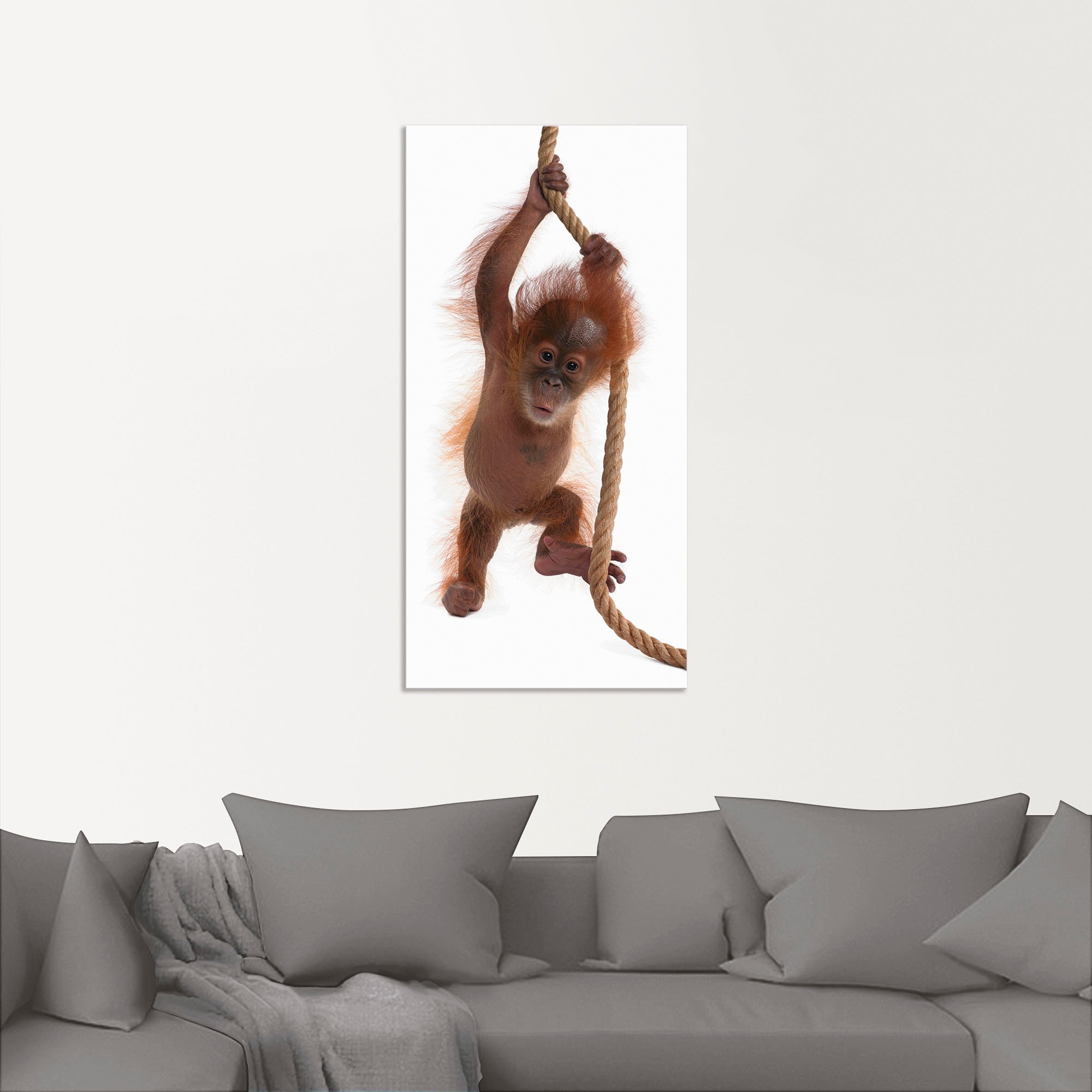 Artland Wandbild »Baby Orang Utan hängt am Seil I«, Wildtiere, (1 St.), als  Alubild, Leinwandbild, Wandaufkleber oder Poster in versch. Größen  bestellen | BAUR