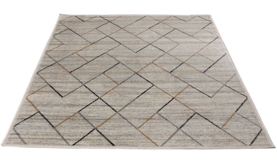 Living Line Teppich »Clara Geometrisch«, rechteckig, 4 mm Höhe, Vintage Design,... kaufen