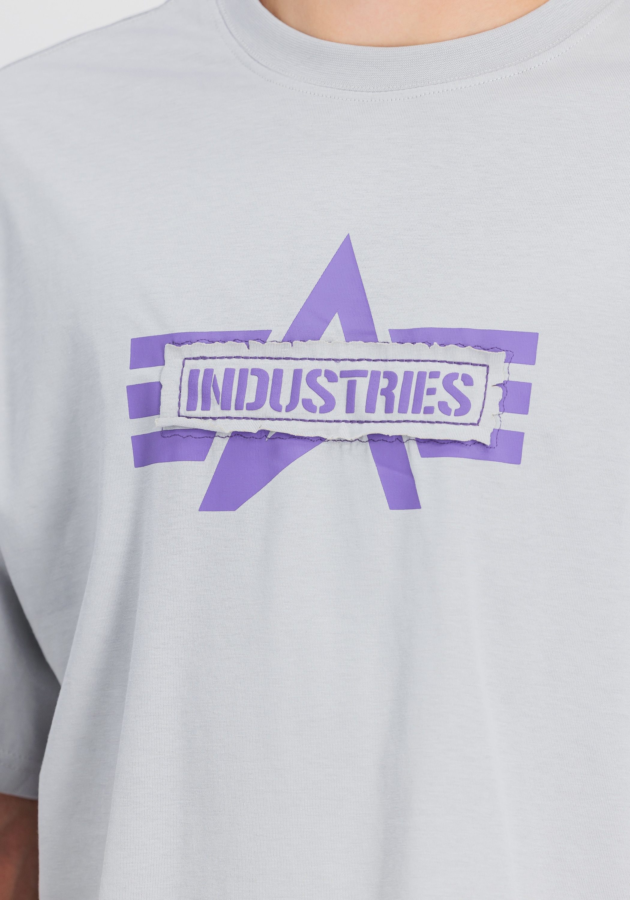 Alpha Industries T-Shirt »Logo Edge T-Shirt«