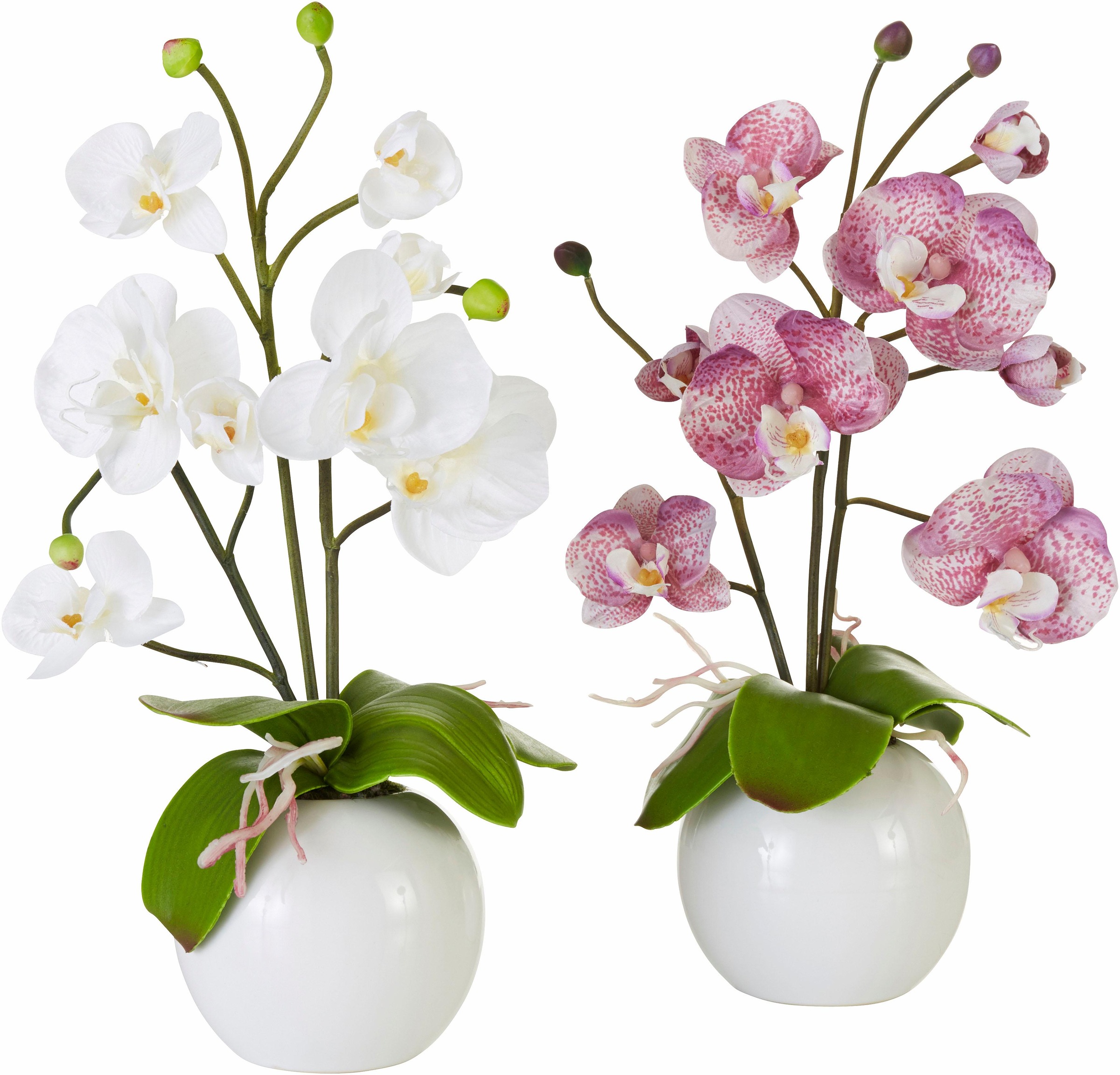 I.GE.A. Kunstpflanze "Orchidee"