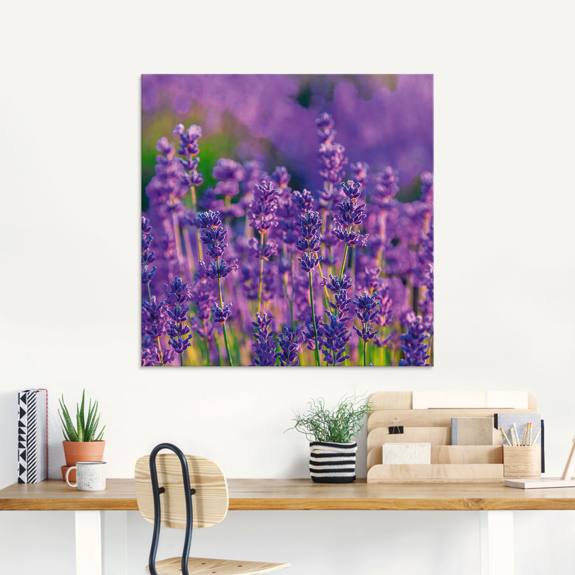 Artland Glasbild "Lavendelfeld in Tihany, Ungarn" Felder 1 Stk. tlg. in ver günstig online kaufen