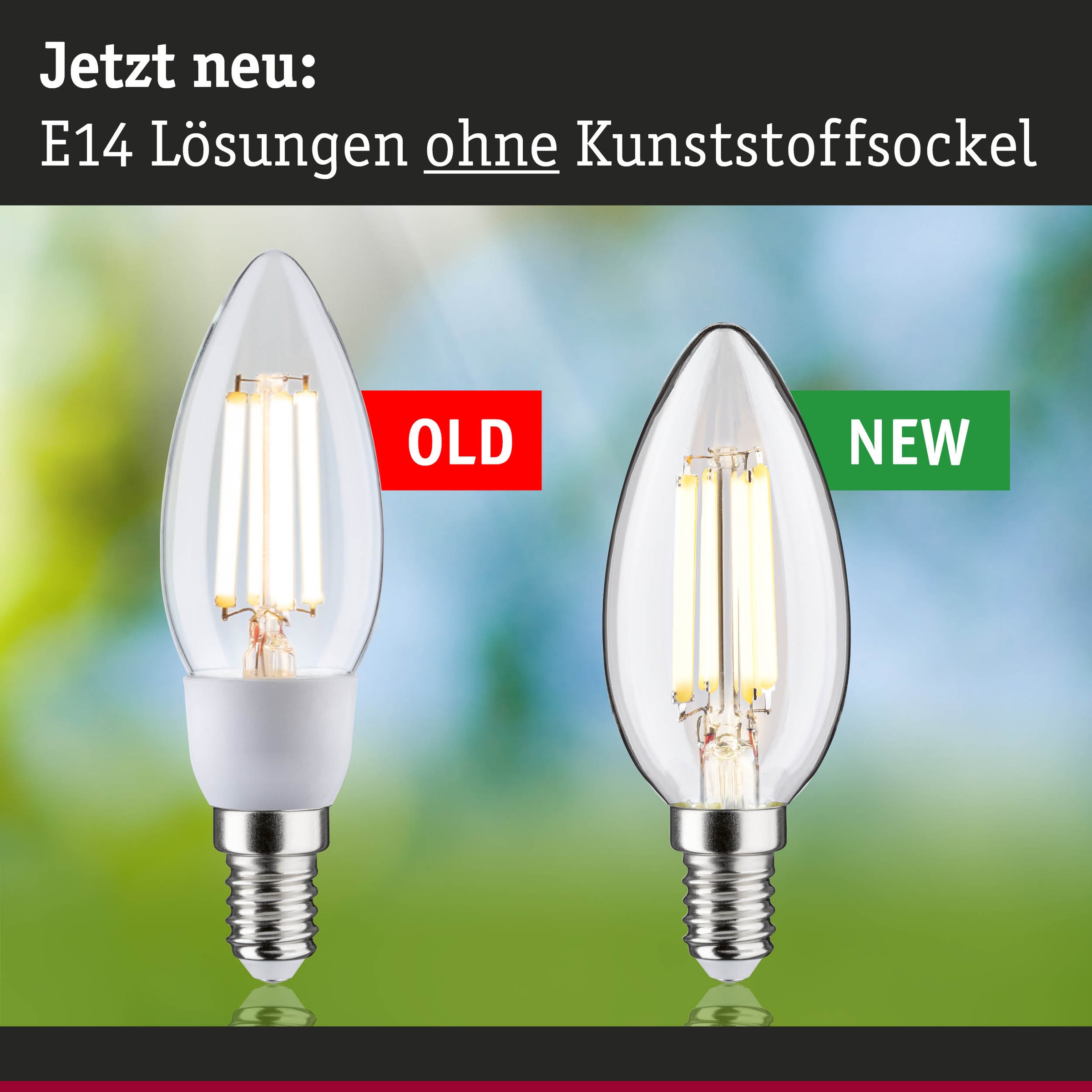 Paulmann LED-Leuchtmittel »Efficient-Line Filament 230V LED Kerze E14 1 St. 525lm 2,5W 3000K Klar« E14 1 Stk. Warmweiß