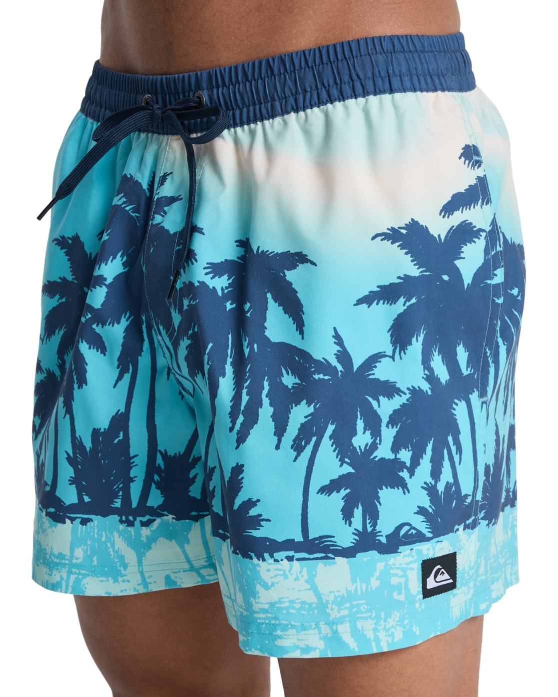 Quiksilver Boardshorts »Everyday Printed Volley 15"«
