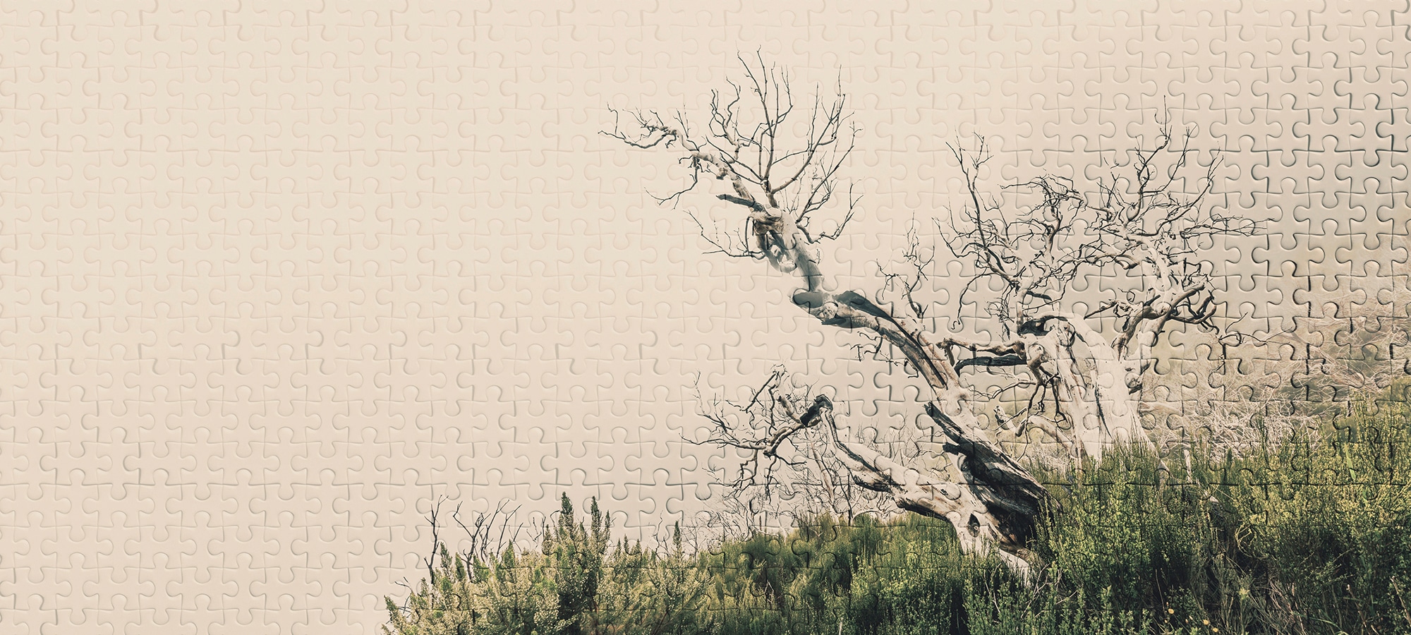 Architects Paper Fototapete "Atelier 47 Death Tree Puzzle 2" Wald glatt Vlies, Wand, Schräge, Decke