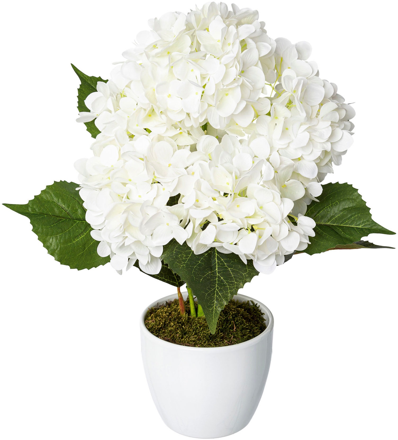 Creativ green Kunstpflanze »Hortensie« im Keramiktop...