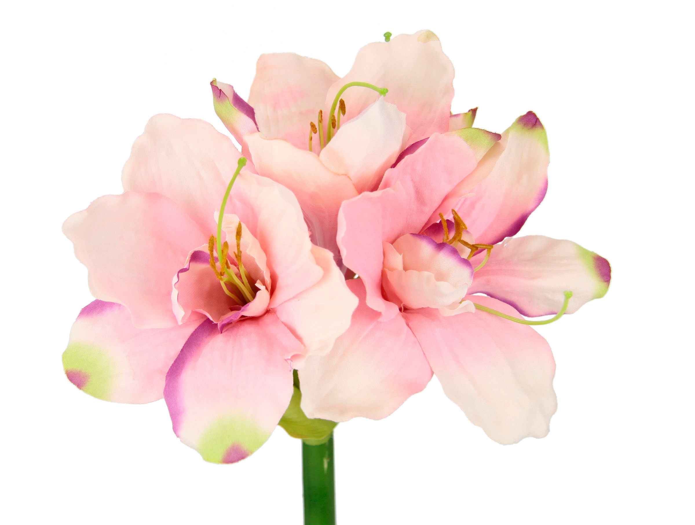 I.GE.A. Kunstblume »Amaryllis«, Kunst-Stielblume, 3er Set