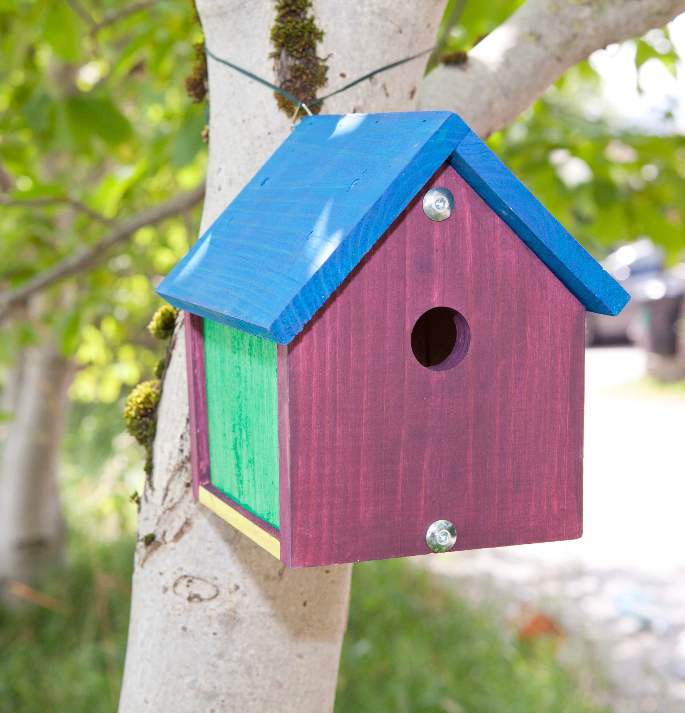 Windhager Nistkasten »Bausatz Robin« BxTxH: 16,2x12,4x22,5 cm