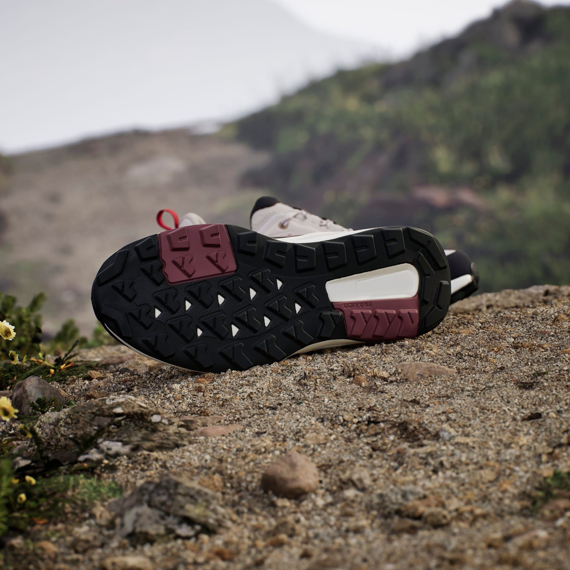 adidas TERREX Wanderschuh »TERREX ANYLANDER«