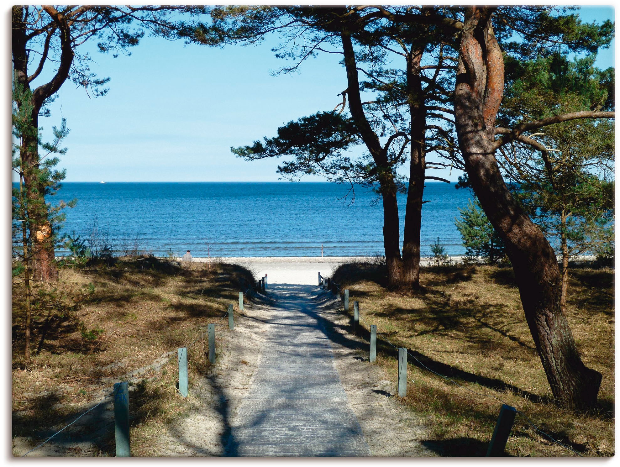 Artland Leinwandbild "schöne Ostseeküste" Gewässer 1 Stk. tlg. auf Holzrahmen gespannt